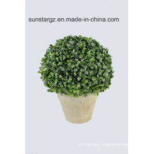 Boxwood Ball Artificial Plant with Paper Pot for Home Decoration (51114)